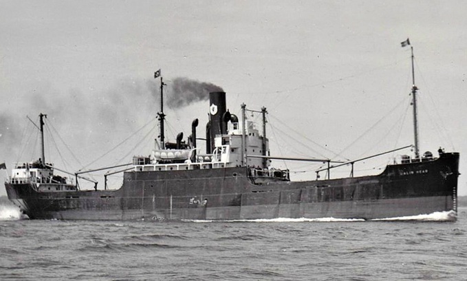 transportofdelight.smugmug.com