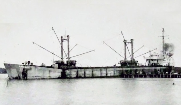 Edson de Lima Lucas / Navíos Mercantes Brasileiros