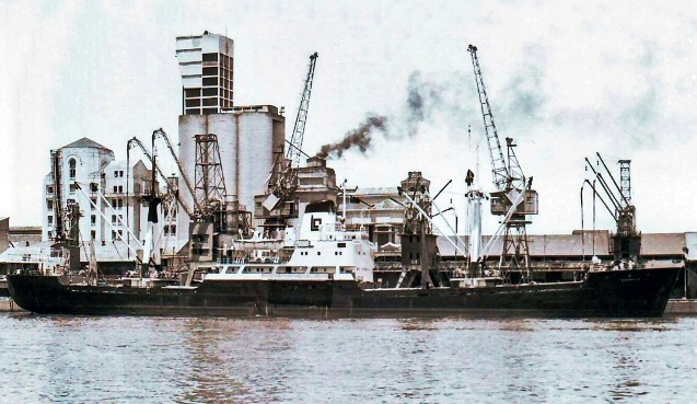 José Carlos Rossini