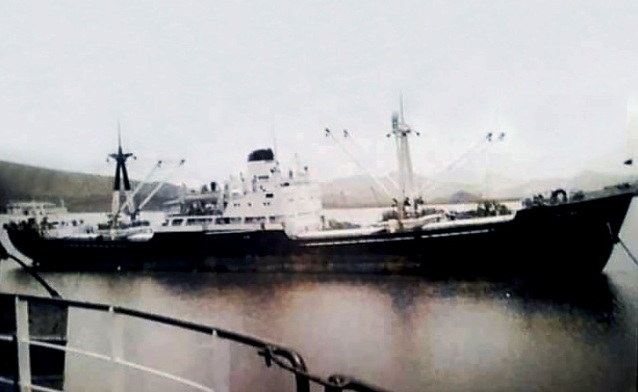 Navíos Mercantes Brasileiros