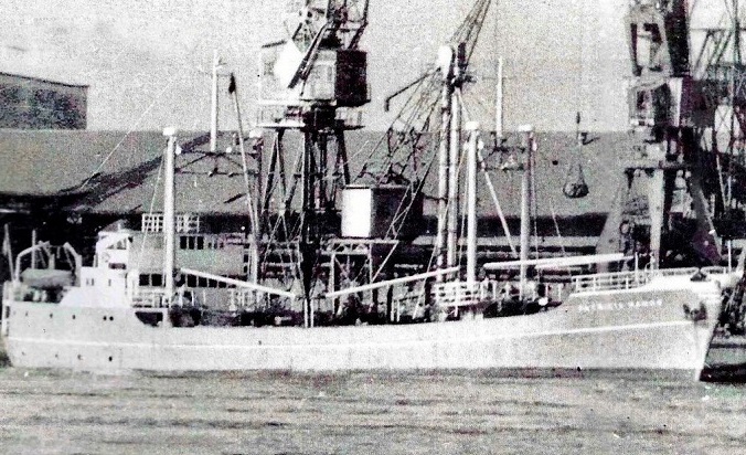 José Carlos Rossini / Navíos Mercantes Brasileiros