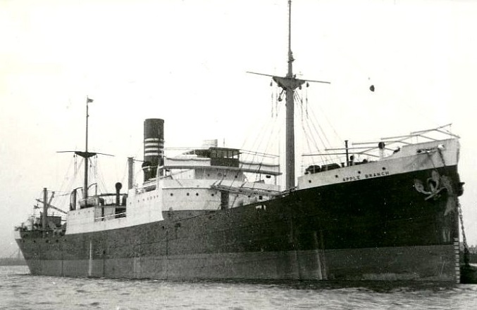 northeastmarine.co.uk