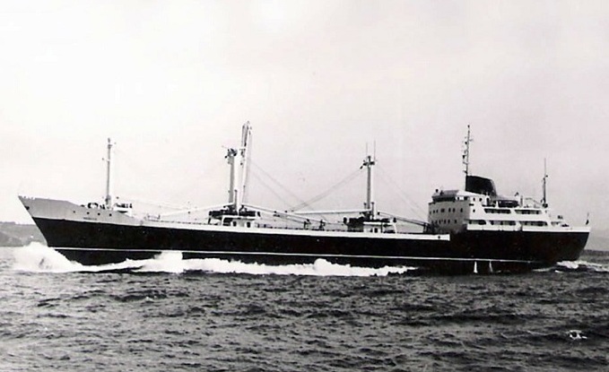 fenecom.blogspot.com