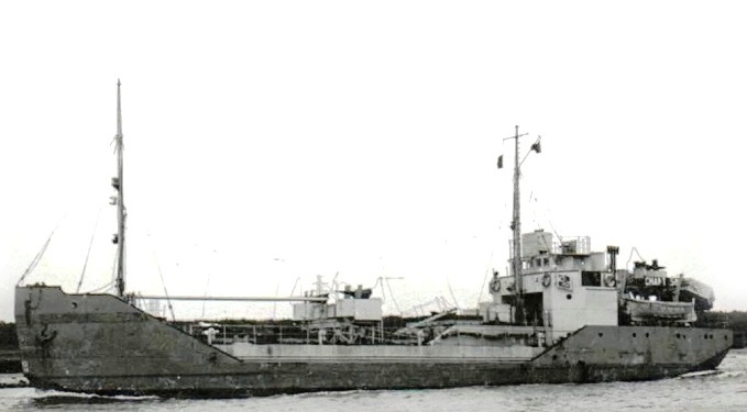 Buque gemelo