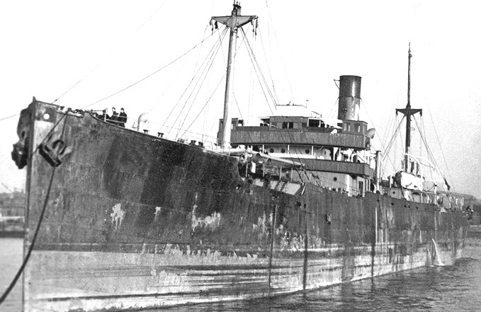 © shipingtandy.com